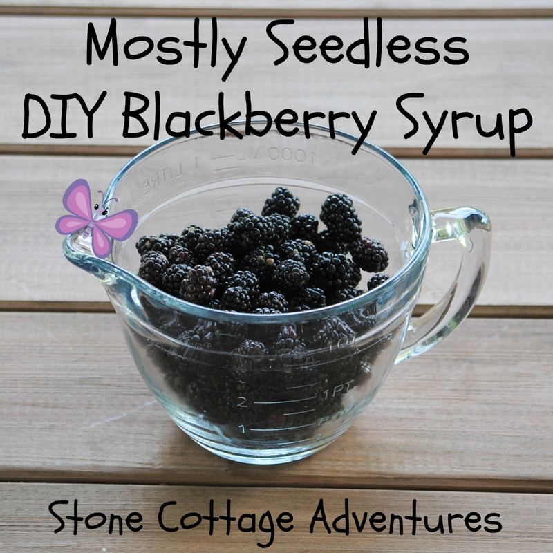 DIY Blackberry Syrup, Mostly Seedless – photo 1