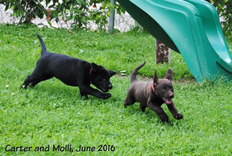 Evening Entertainment – photo 1