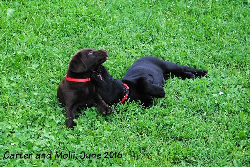 Evening Entertainment – photo 3