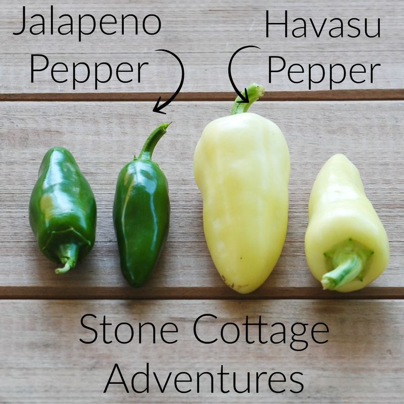 Salsa with Heirloom Vegetables – photo 1