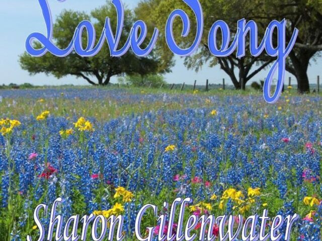 Book Review: Love Song