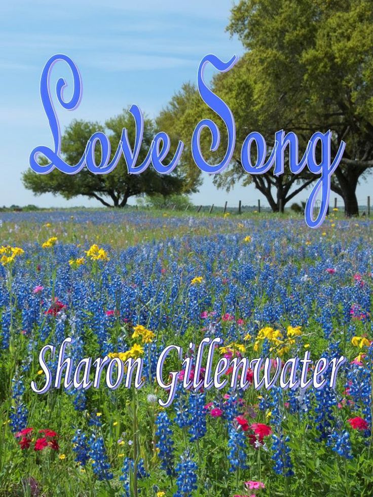 Book Review:  Love Song – photo 1