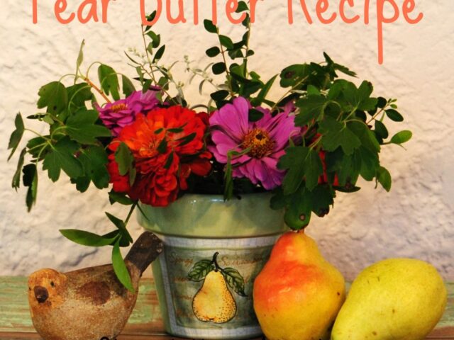 Slow Cooker Pear Butter Recipe