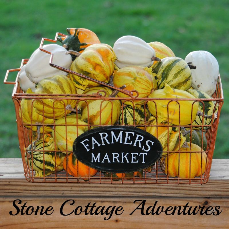 Gourd Harvest 2016 – photo 1