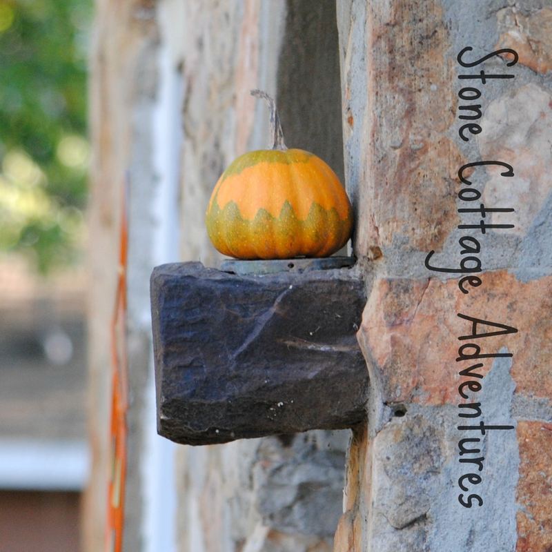 Outdoor Autumn Vignettes – photo 2