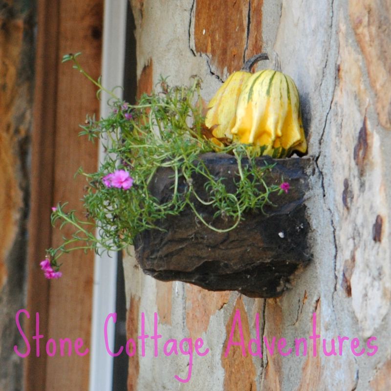 Outdoor Autumn Vignettes – photo 3
