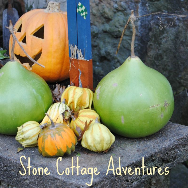 Outdoor Autumn Vignettes – photo 4