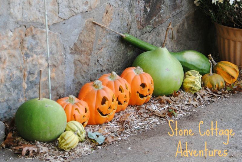 Outdoor Autumn Vignettes – photo 5