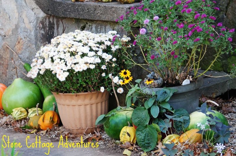 Outdoor Autumn Vignettes – photo 6