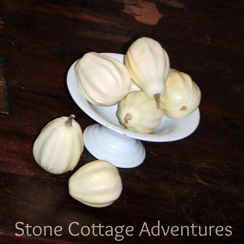 Indoor Autumn Vignettes β photo 1