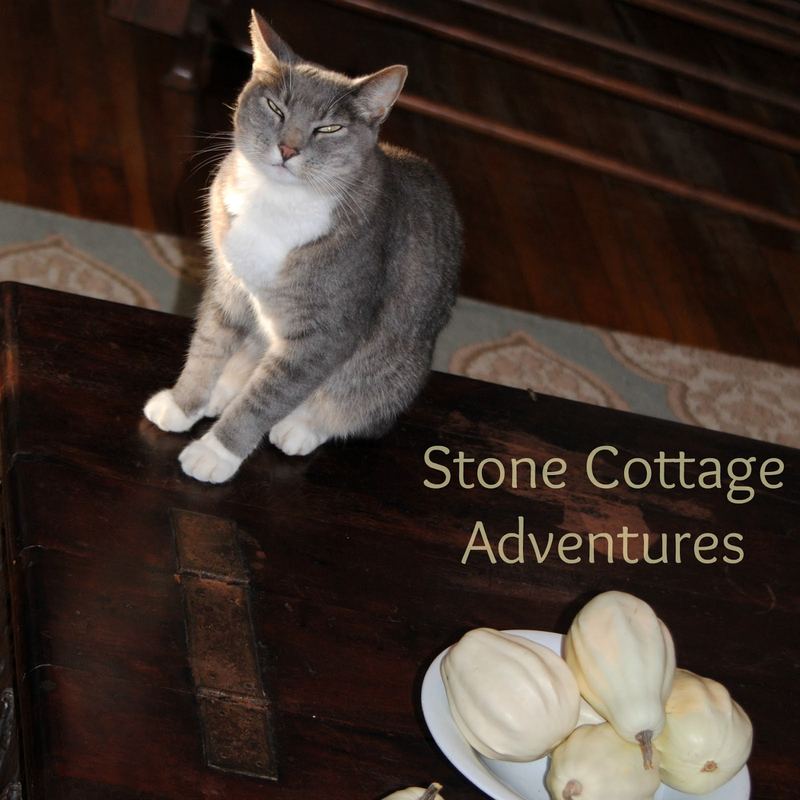Indoor Autumn Vignettes β photo 2