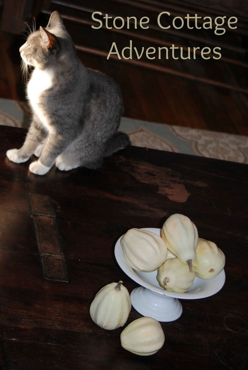 Indoor Autumn Vignettes β photo 3