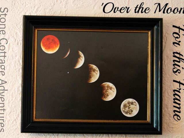 Over the Moon for this Frame