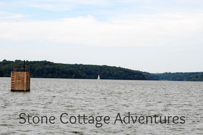 Hiking with Herons and Sail Boats – photo 3