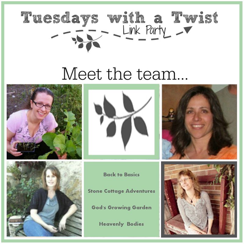 Link Party Tuesdays with a Twist β photo 3