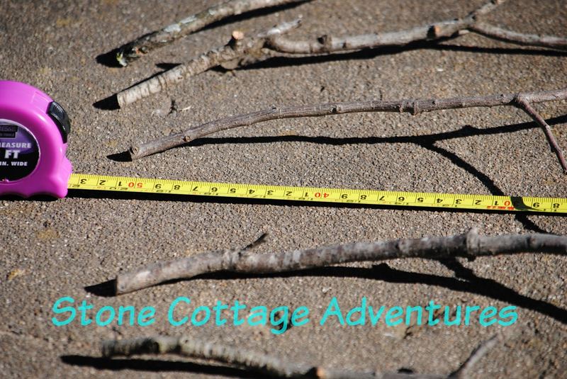 Woodland Babies Centerpiece Tutorial – photo 6