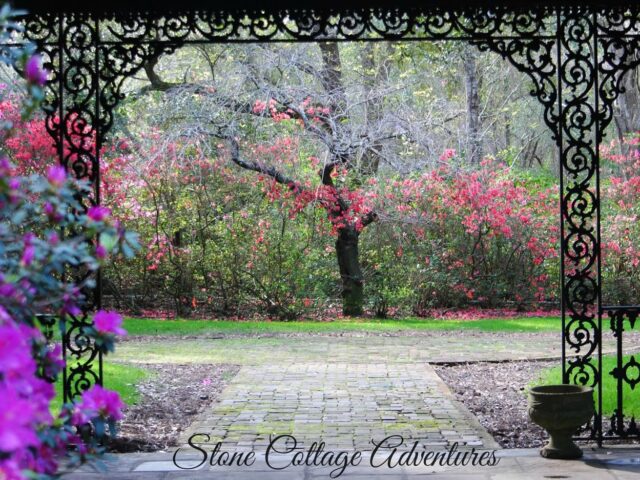 Bellingrath Gardens {Part 2}