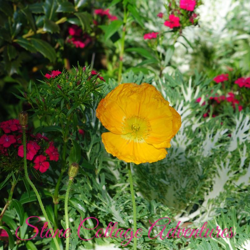 Bellingrath Gardens {Part 2} – photo 2