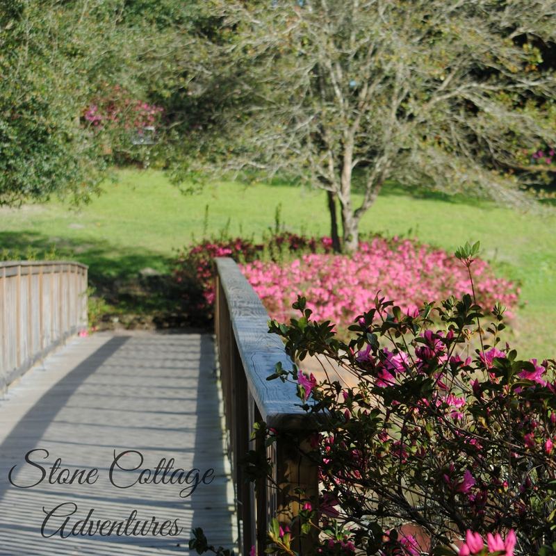 Bellingrath Gardens {Part 2} – photo 3