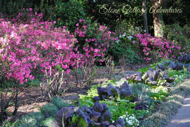 Bellingrath Gardens {Part 2} – photo 6