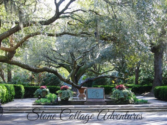 Bellingrath Gardens {Part 3}