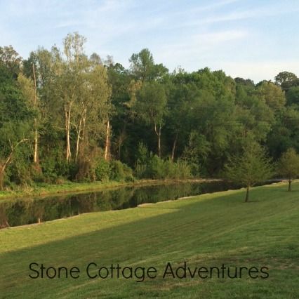 Spadra Creek Nature Trail – photo 16