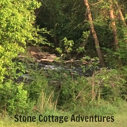 Spadra Creek Nature Trail – photo 17
