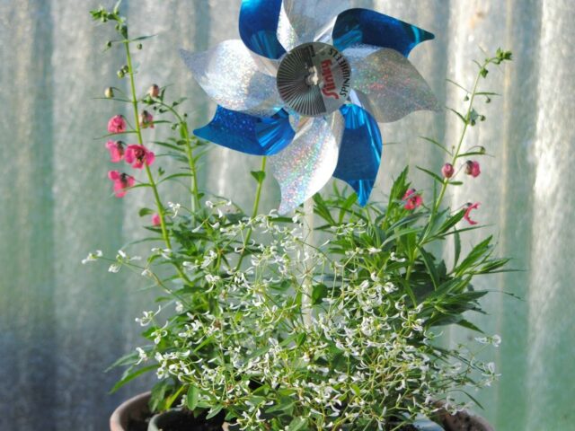 Patriotic Planter