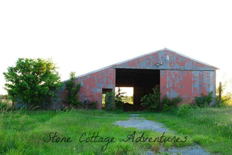 Sentimental Photos – photo 4
