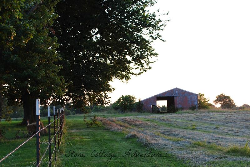 Sentimental Photos – photo 9