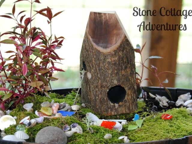 Fairy Garden Update
