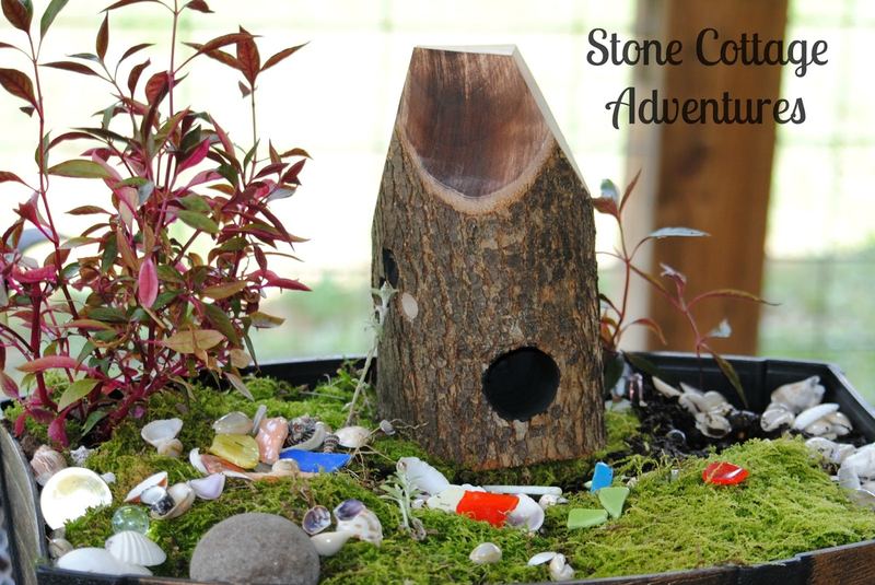 Fairy Garden Update – photo 1