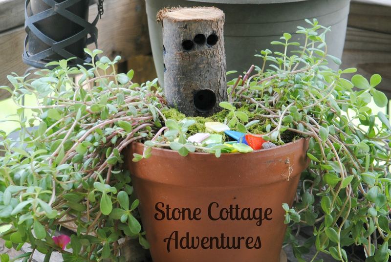 Fairy Garden Update – photo 2