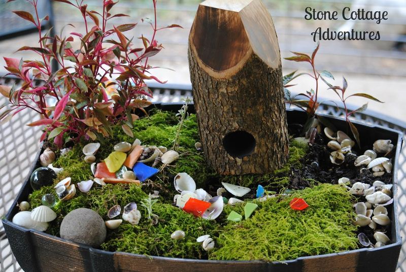 Fairy Garden Update – photo 4
