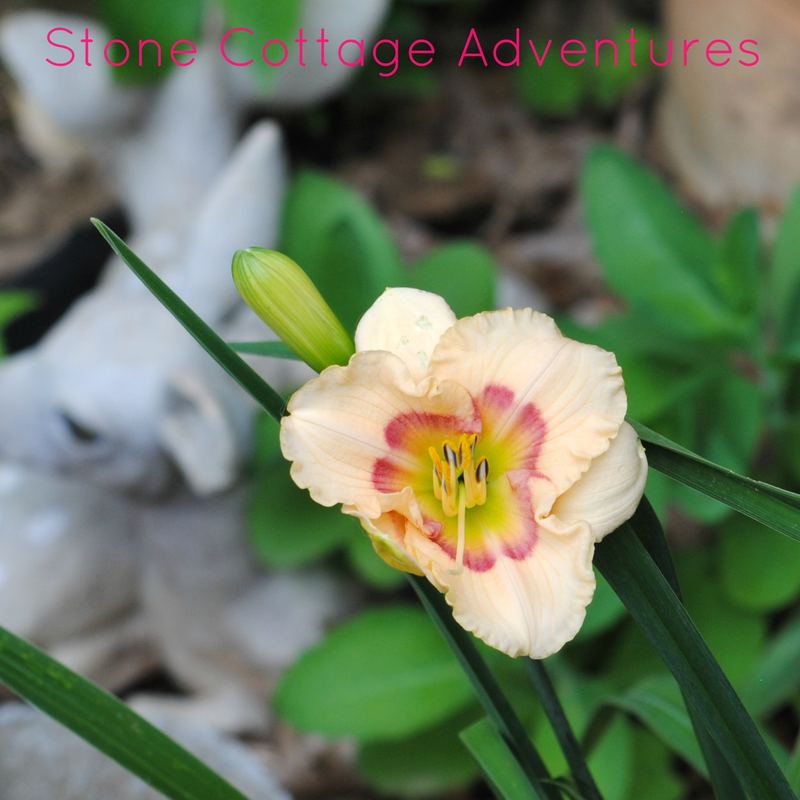 Let's Walk Thru My Garden – photo 10