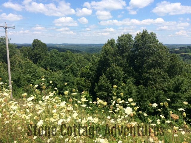 Travels with Marci Near Quigley Castle – photo 4