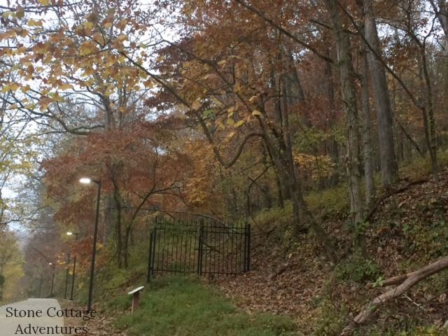 A Hazy Day with Carter – photo 4