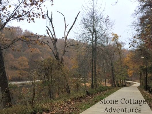 A Hazy Day with Carter – photo 5