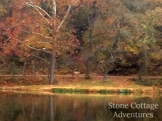 A Hazy Day with Carter – photo 8
