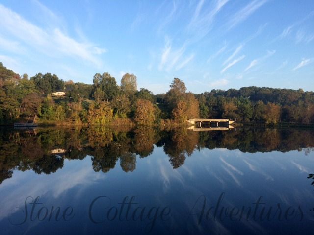 A Morning Walk with Molli – photo 3