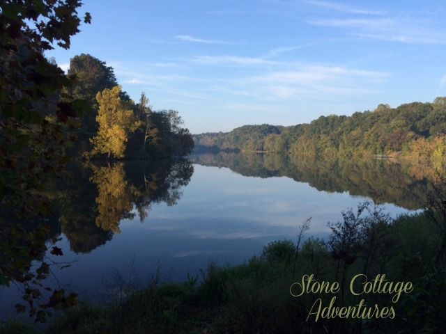 A Morning Walk with Molli – photo 5