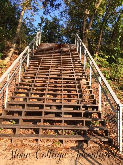 A Morning Walk with Molli – photo 6