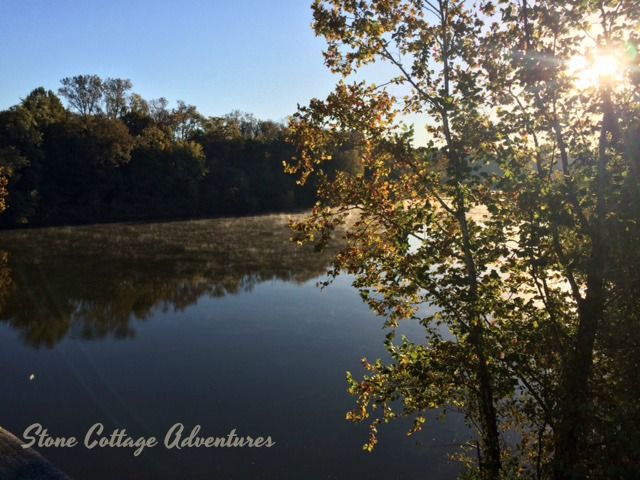 Travels with Marci at Lee Creek – photo 3