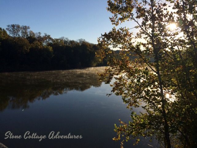 Travels with Marci at Lee Creek – photo 4
