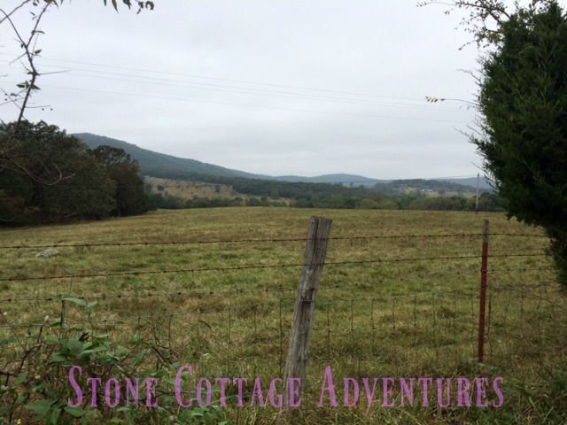 Travels with Marci Thistles and a View – photo 4