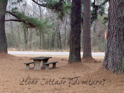 Travels with Marci at Natural Dam – photo 4