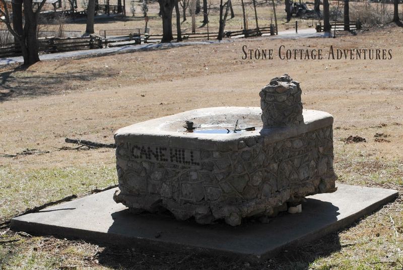 Travels with Marci at Cane Hill  College – photo 4