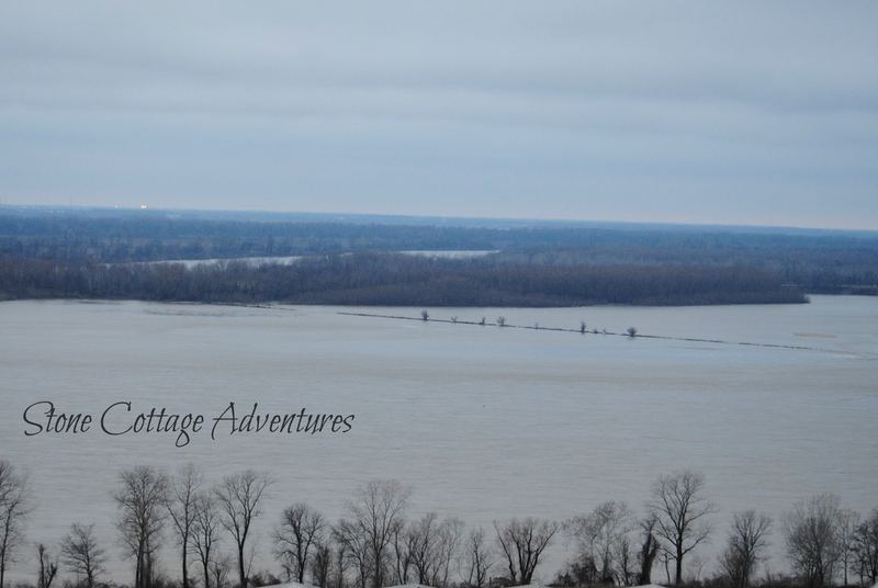 The Lookout at Memphis Pyramid – photo 4