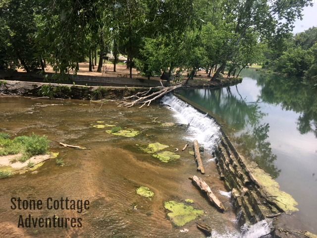 Haven at Pineville – photo 7