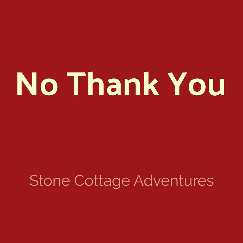No Thank You – photo 1